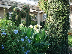 424 Longwood Gardens [2008 August 23]